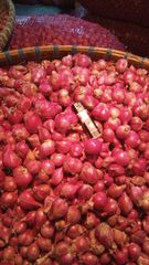 Company – thumbnail 2 of 6, supplier detail gallery