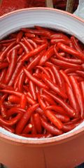 Preserved vegetables  – product photo 17, product detail gallery