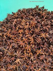 Star Anise Autumn – product photo 1, product detail gallery