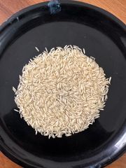 1121 Steam Basmati Rice (Best Rice for Gulf countries), Long Grain, excellent cooking, No roundness in grain. - Image 4