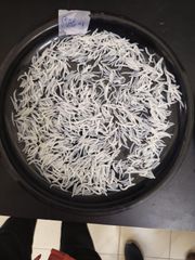 1121 Steam Basmati Rice (Best Rice for Gulf countries), Long Grain, excellent cooking, No roundness in grain. - Image 5