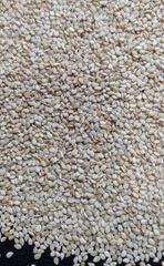 Sesame Seed – product photo 1, product detail gallery