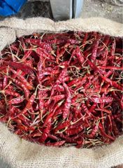 Dried Chilli - Image 2