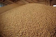 soybeans meal – product photo 2, product detail gallery