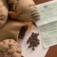 Cocoa Beans – product photo 2, product detail gallery