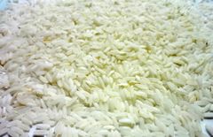 Sunflower Oil - Image 3
