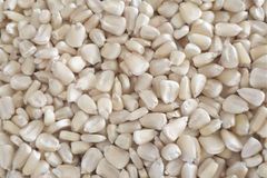 white and yellow maize – product photo 2, product detail gallery