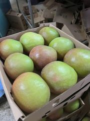 Premium Kenyan Apple Mango – Fresh Export Quality | 4kg Box - Image 1