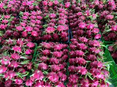 Dragon Fruit – product photo 2, product detail gallery