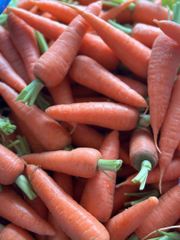 ORGANIC CARROT - Image 1