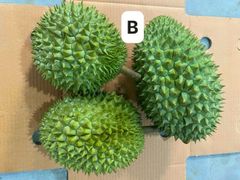 fresh frozen durian Type A,B,C Packaging 15kg Weight (kg) - Image 1