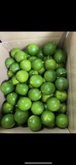 Seedless Lime - Image 1