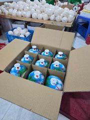 FRESH YOUNG COCONUT  - Image 1