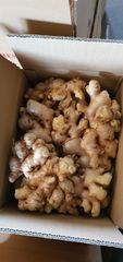 Agritec Fresh Ginger: Premium Quality, Farm-Fresh – product photo 10, product detail gallery