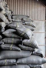 Ready to ship Specialty Arabica Vietnam hand picking coffee beans - Image 5