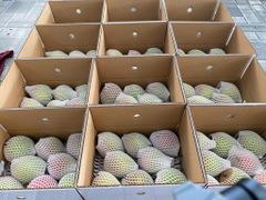Frozen Mango – product photo 1, product detail gallery