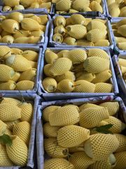 Frozen Mango – product photo 2, product detail gallery