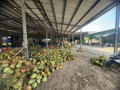 Fresh Young Coconut FDA Certificate, high BRIX – product photo 11, product detail gallery
