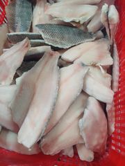 FROZEN TILAPIA FISH - Image 3