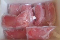 Frozen watermelon juice Place of Origin Vietnam Brix Level Greater Than 9 Packaging Material Pa/pe Bag Or Bottle Storage Temperature -18 Degrees Celcius - Image 4
