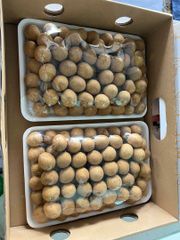 Premium Fresh Longan - High-Quality Selection Origin Vietnam Texture Translucent Flesh Weight Approx. 1kg Per Tray Flavor Honey-like - Image 1