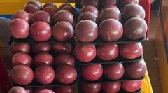 Premium Purple Passion Fruit – Naturally Sweet & Refreshing – product photo 1, product detail gallery