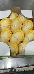 Premium Mango - Exquisite Sweetness from Vietnam – product photo 1, product detail gallery