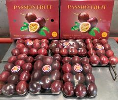 Vietnamese Passion Fruit – Fresh & Frozen Pulp – product photo 1, product detail gallery