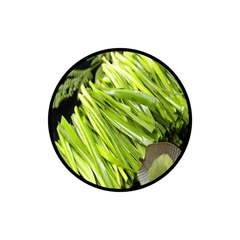 Product thumbnail 16