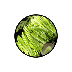 Product thumbnail 56