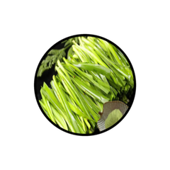 Product thumbnail 40