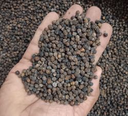 Shidhin Agrotech 