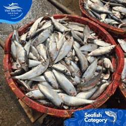 Viet Sea Fish Ltd., Co.