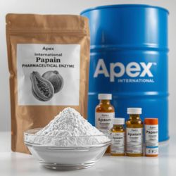 APEX INTERNATIONAL
