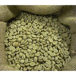  JAC SEEDS & OIL TRADING (PTY) LTD