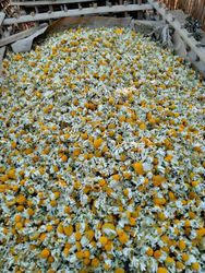 Alostol Spices