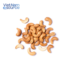 VIETNAM SOURCE 