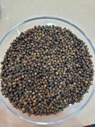 Jaishnavi Exports