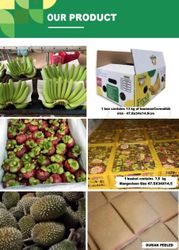 PT HARVEST RAYA TANGGAMUS