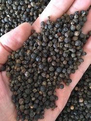 Savannah Source Global Trade Ltd