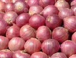 Prakrithi Exports