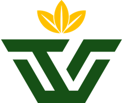 Waru Teja