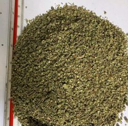 FARM HERBS For import and export