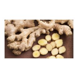 DCR Harvest LLC 