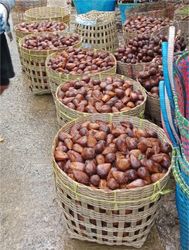 PT Agraria Indonesia Trade