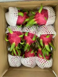 TROPICA CO LTD