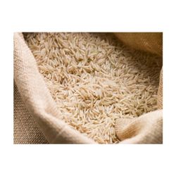 AFRIVET TRADING SERVICES