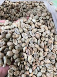 Ras Essence Gemilang (0821 1350 6476)