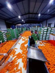 Qingzhou Fengying Agricultural Technology Co., Ltd.