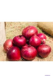 Garden to global exports pvt ltd 